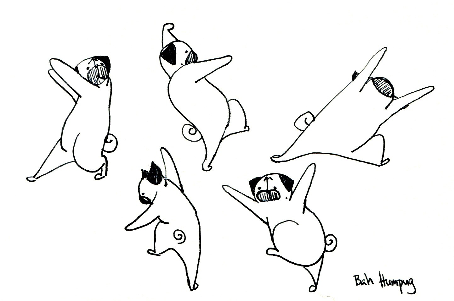 1442x958 Pug Outline Drawing At Getdrawings Com Free For Personal Use - Pug Outline Drawing