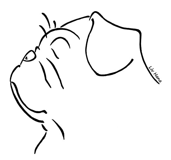 550x515 Pug Silhouette Outline Photographic Prints - Pug Outline Drawing