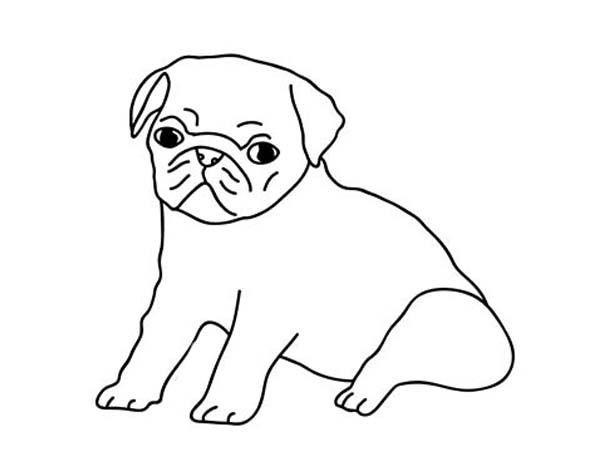 600x450 Pug Outline - Pug Outline Drawing
