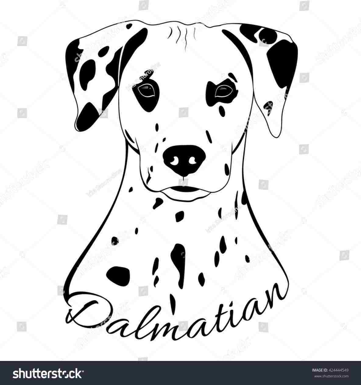 1185x1264 Dog Truck Drawing Outline - Pug Outline Drawing