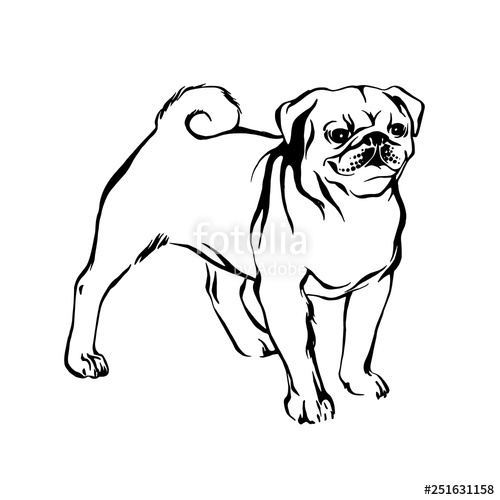 500x500 Hand Drawn Pug Puppy Dog Vector Sketch Black Isolated Animal Pet - Pug Puppy Drawing