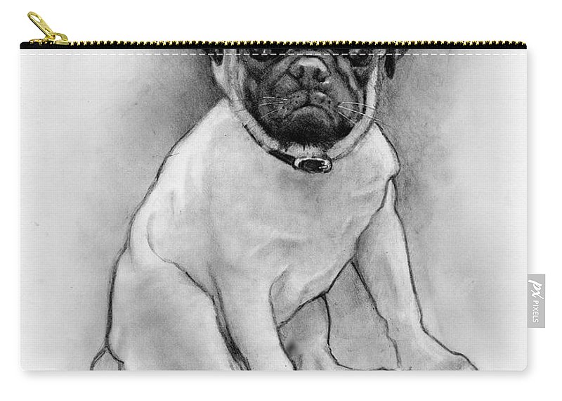800x570 Pug Puppy In Pencil Carry All Pouch For Sale - Pug Puppy Drawing