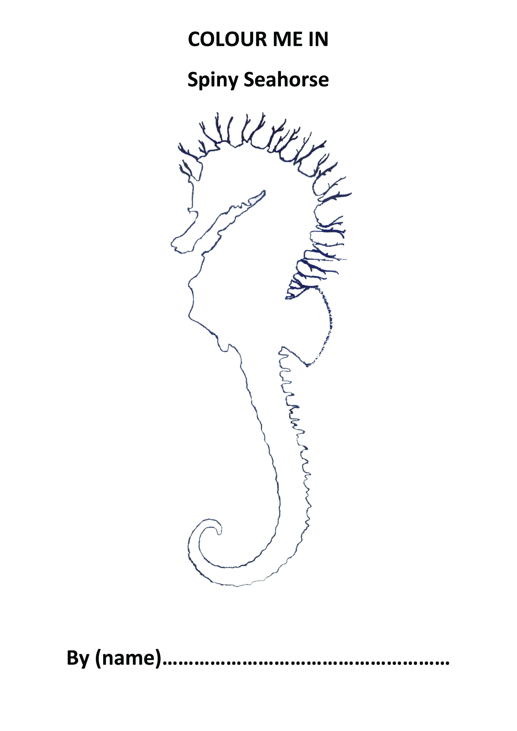 1654x2339 educational resources the seahorse trust - Pull Drawing