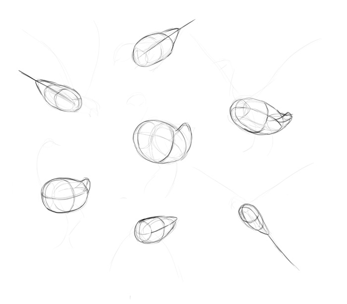 700x614 how to draw birds step - Pull Drawing