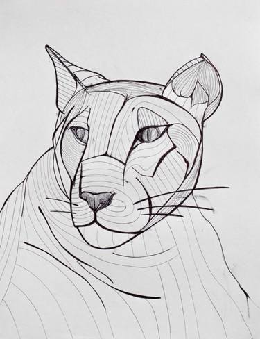 375x488 a puma drawing - Puma Drawing
