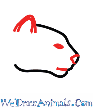 300x350 how to draw a puma - Puma Drawing