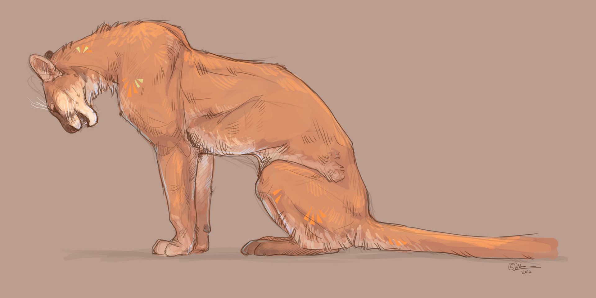 1920x960 artstation - Puma Drawing