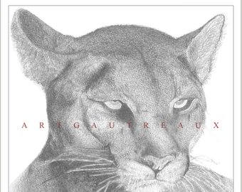 340x270 puma drawing etsy - Puma Drawing