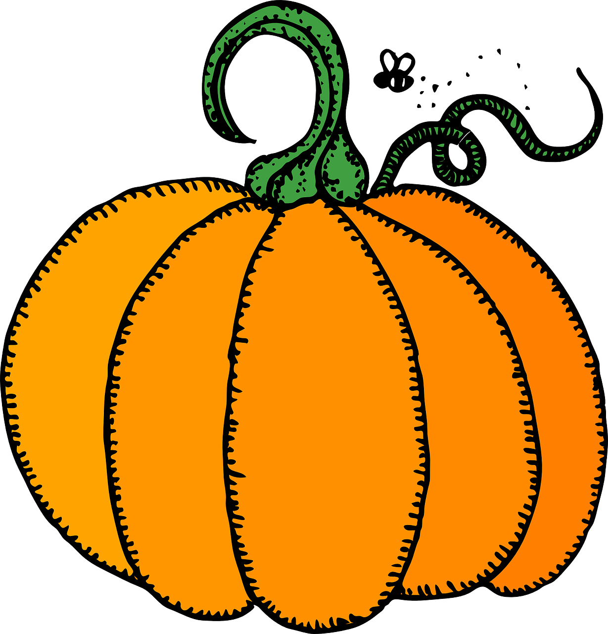 1229x1280 coach drawing pumpkin transparent png clipart free download - Pumpkin Cartoon Drawing