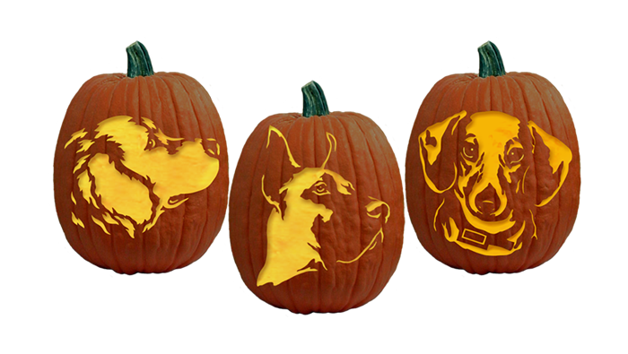 700x395 free pumpkin carving patterns and stencils - Pumpkin Carving Drawings