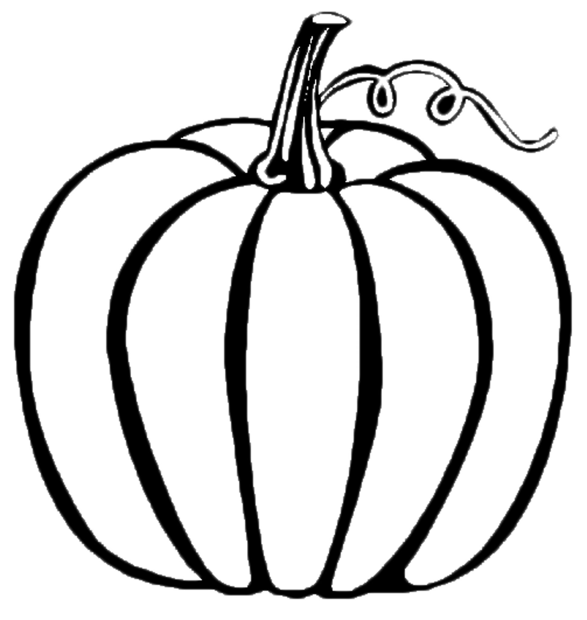 1940x2048 Print Download - Pumpkin Drawing