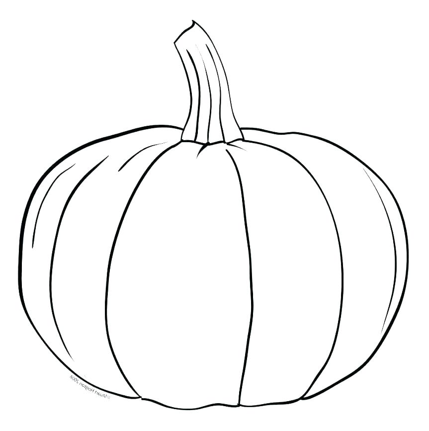 863x867 Pumpkin Drawing Free Download - Pumpkin Drawing