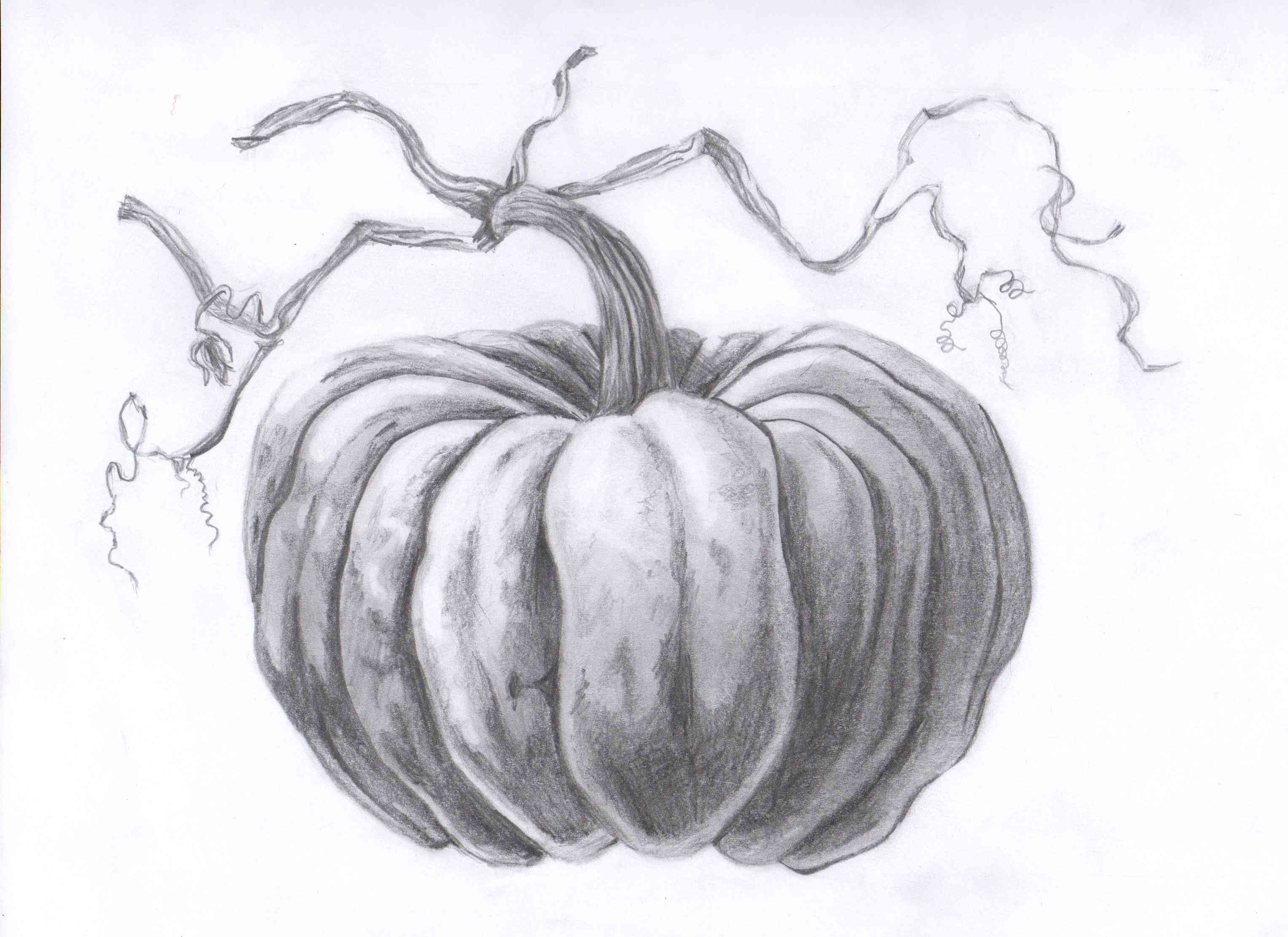 3056x2224 Blendspace Still Life With Fall Pumpkins Pumpkin - Pumpkin Drawing