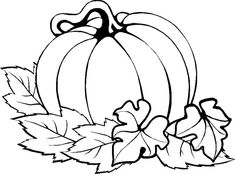 235x174 How To Draw A Pumpkin Step - Pumpkin Drawing For Kids