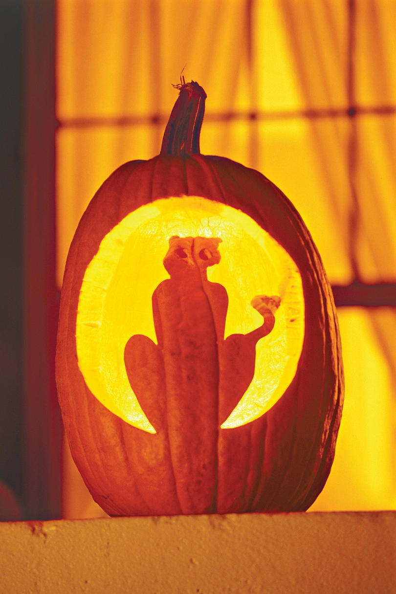 810x1215 pumpkin carving ideas - Pumpkin Drawing Halloween