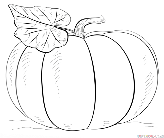 683x575 How To Draw A Pumpkin Step - Pumpkin Drawing Images