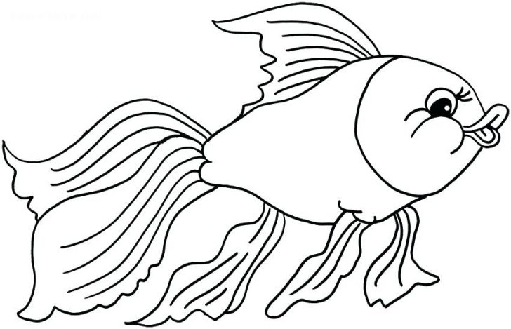 728x469 Easy Fish Drawing For Kids Coloring Pages Halloween Pumpkin Online - Pumpkin Drawing Pages