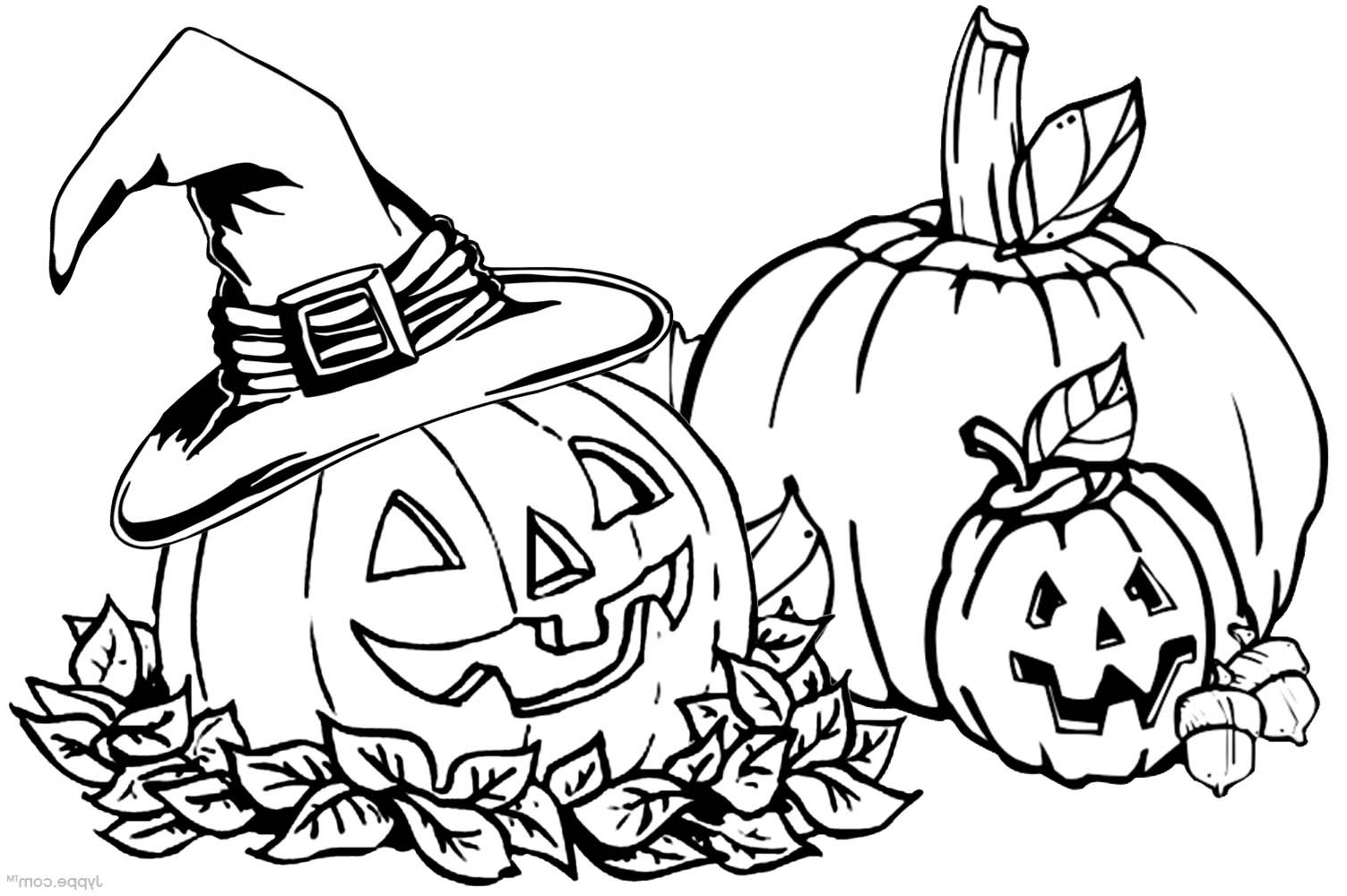 1503x1000 free printable pumpkin coloring pages pumpkin drawing - Pumpkin Drawing Pages