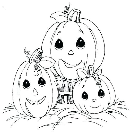 505x512 Pumpkin Coloring Pages For Preschool Fall Preschoolers Printable - Pumpkin Drawing Pages