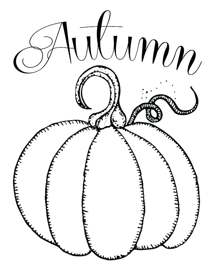 736x952 Pumpkin Stencils Over Printable Patterns Printouts Pumpkins Scary - Pumpkin Drawing Patterns