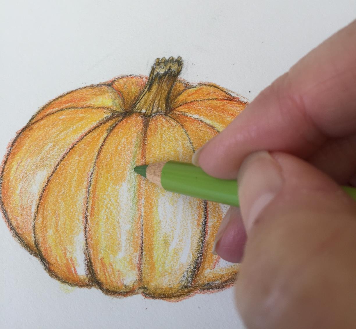 1224x1131 Art - Pumpkin Drawing Picture