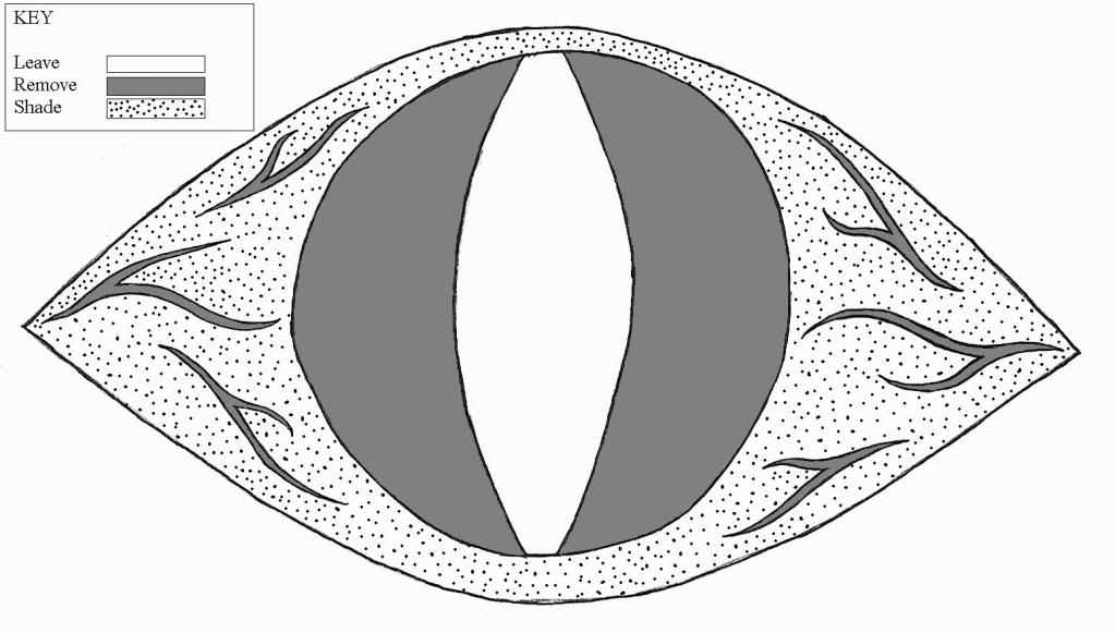 1023x581 Blurgh! The Thinkgeek Blog - Pumpkin Drawing Template
