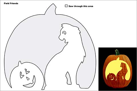 480x320 spooky cat pumpkin stencils you'll love carving this halloween - Pumpkin Drawing Template