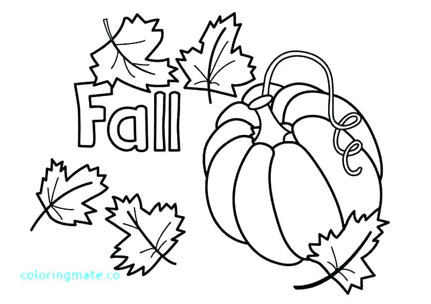 842x595 Pumpkin Leaves Coloring Pages Free E On Printable Leaf Sheets - Pumpkin Leaf Drawing