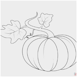 268x268 Pumpkin Leaves Coloring Pages Luxury Ivy Vines Leaf Coloring Pages - Pumpkin Leaf Drawing