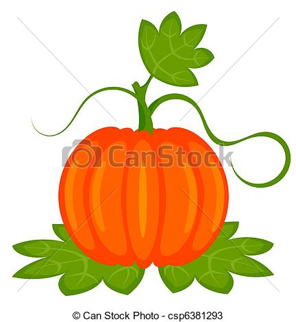 432x470 pumpkin plant orange pumpkin with leaves isolated vector - Pumpkin Leaf Drawing