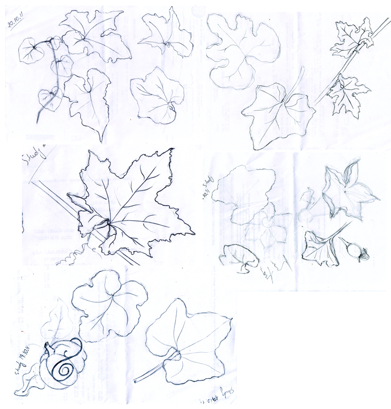 766x800 weekly doodles and tuts how to draw pumpkin leaves - Pumpkin Leaf Drawing
