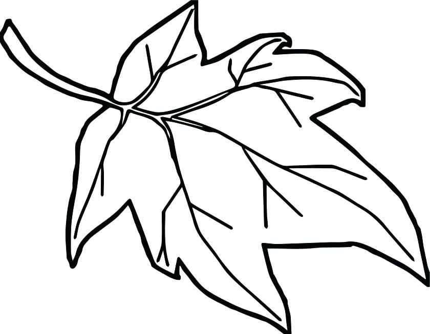 840x653 Coloring Leaf Srbijatrade Club - Pumpkin Leaf Drawing