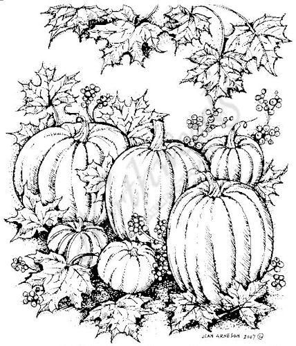 428x499 drawings of pumpkins and leaves pumpkin leaf drawing pumpkin - Pumpkin Leaf Drawing