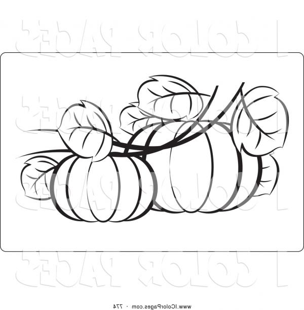 Pumpkin Leaf Drawing at PaintingValley.com | Explore collection of
