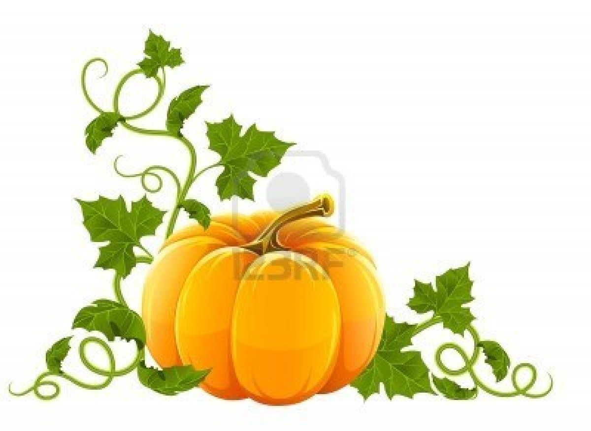 1200x876 pumpkin with lots of leaves pumpkin - Pumpkin Leaf Drawing