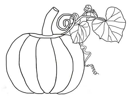 450x346 ingenious inspiration ideas pumpkin leaves coloring pages - Pumpkin Leaves Drawing