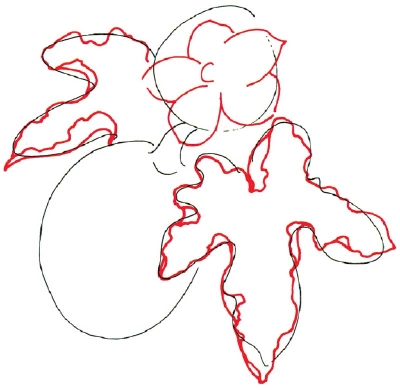 400x390 sketch leaves - Pumpkin Leaves Drawing