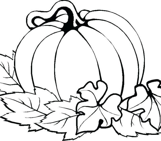 678x592 pumpkin with leaves coloring - Pumpkin Leaves Drawing
