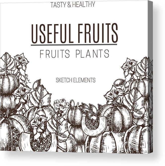 665x670 vector design hand drawn set sketch pumpkin leaves, flowers - Pumpkin Leaves Drawing