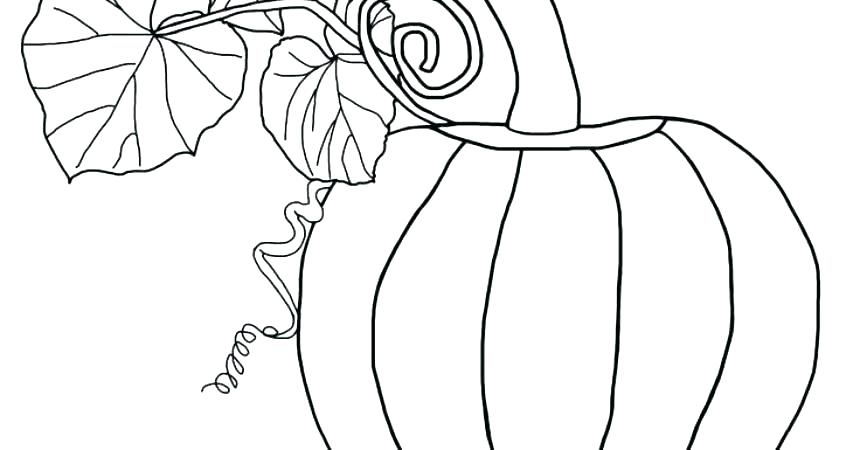860x450 Coloring Pumpkin Leaves Coloring Pages - Pumpkin Leaves Drawing