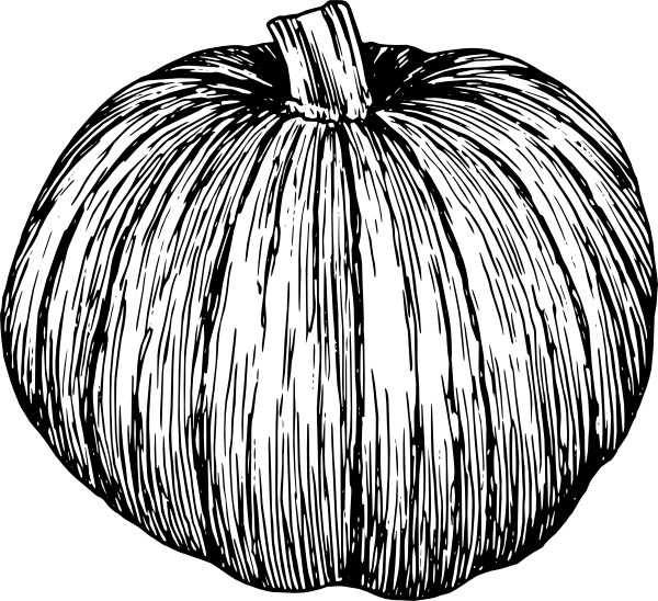 600x548 Pumpkin Line Drawing - Pumpkin Line Drawing