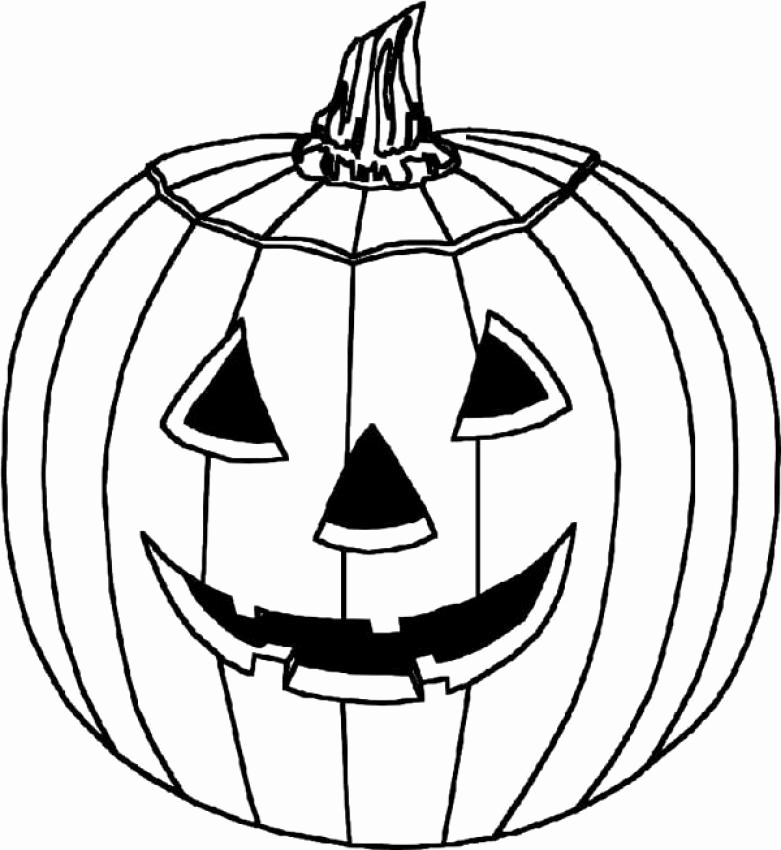 781x850 pumpkin line drawing clip art favorite pumpkin line drawing clip - Pumpkin Line Drawing