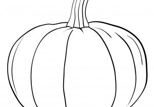 300x210 drawing of a pumpkin pumpkin outline drawing - Pumpkin Line Drawing