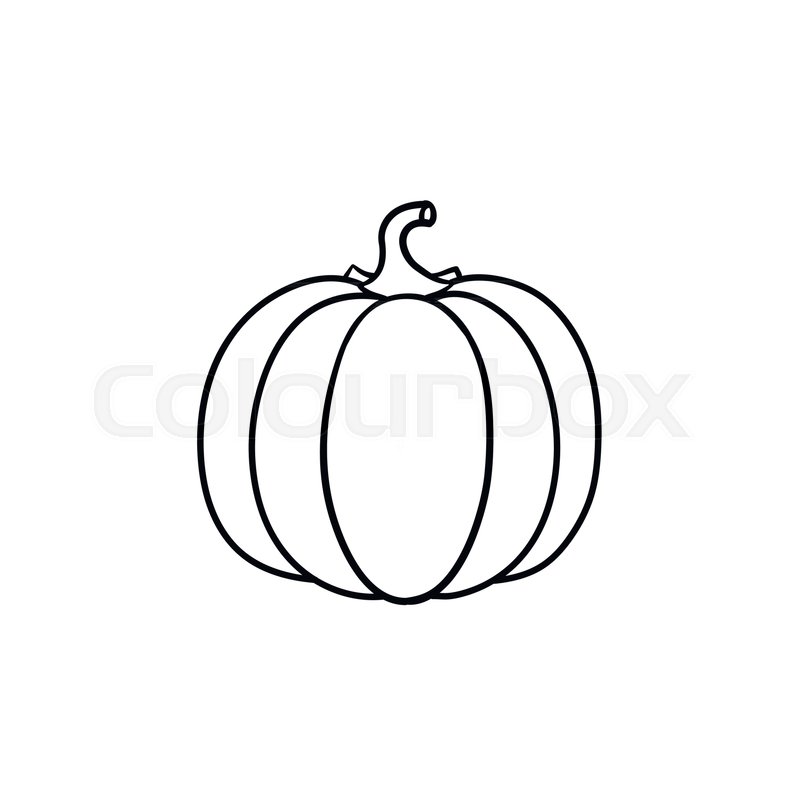 800x800 Pumpkin Vector Hand Drawn Outline Stock Vector Colourbox - Pumpkin Line Drawing