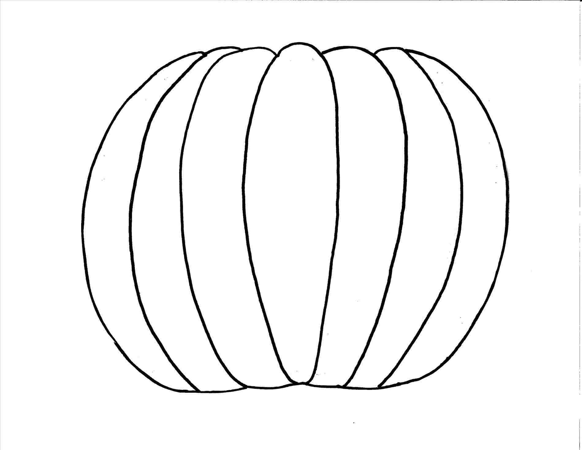 1899x1468 Line Drawing Download Clip Art On Rhclipartlibrarycom Free Pumpkin - Pumpkin Line Drawing