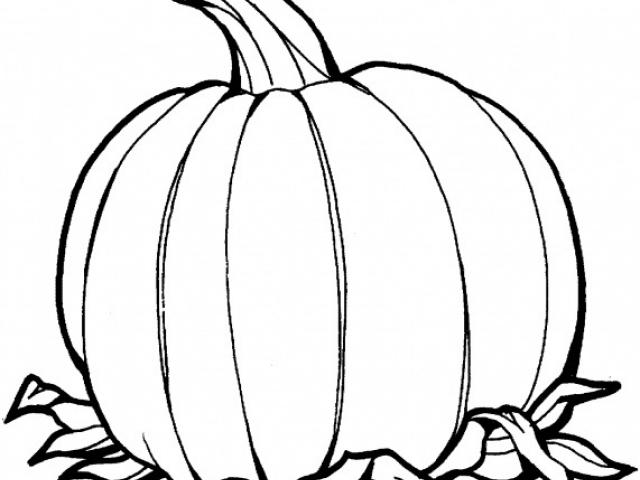 Pumpkin Line Drawing at PaintingValley.com | Explore collection of ...