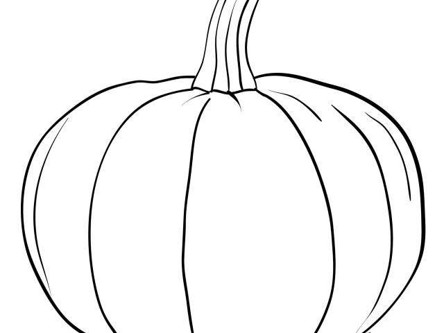 Pumpkin Line Drawing at PaintingValley.com | Explore collection of ...