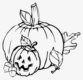 320x308 pumpkin outline png, transparent pumpkin outline png image free - Pumpkin Outline Drawing