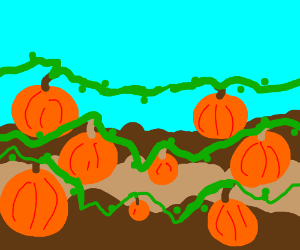 300x250 countryside pumpkin patch drawing - Pumpkin Patch Drawing