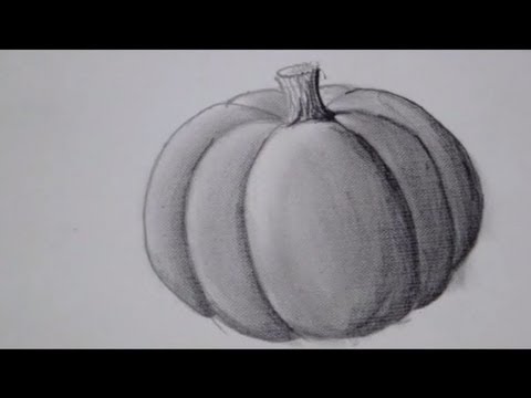 480x360 it's pumpkin time !! how to draw a pumpkin - Pumpkin Pencil Drawing
